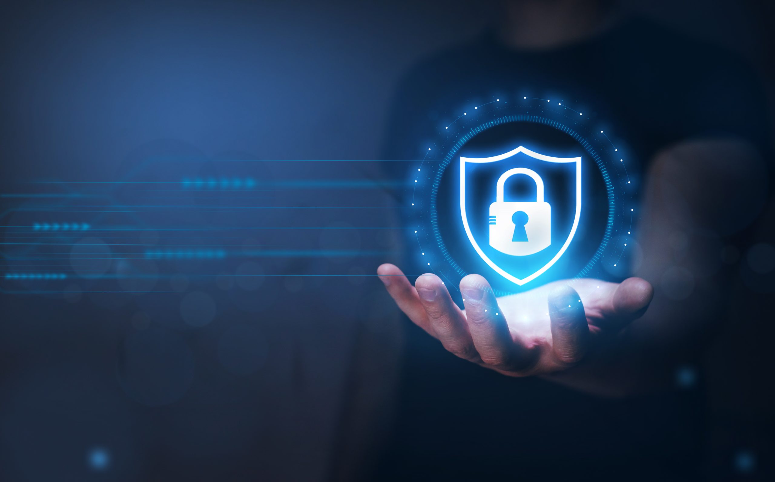 Ciberseguridad y Protección de Datos en la Contabilidad: Un Escudo Vital para tu Negocio
